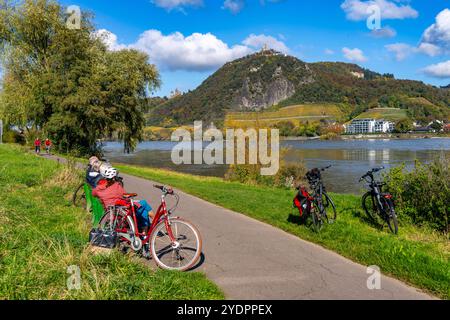 Radweg am Drachenfels, ein Berg im Siebengebirge am Rhein zwischen Bad Honnef und Königswinter, mit Burgruine Drachenfels und Schloß Drachenburg, Links, Schiffsverkehr auf dem Rhein, NRW, Deutschland, Drachenfels Königswinter Foto Stock