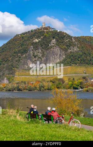 Radweg am Drachenfels, ein Berg im Siebengebirge am Rhein zwischen Bad Honnef und Königswinter, mit Burgruine Drachenfels, Schiffsverkehr auf dem Rhein, NRW, Deutschland, Drachenfels *** percorso ciclabile sul Drachenfels, una montagna nel Siebengebirge sul Reno tra Bad Honnef e Königswinter, con il traffico di battello, le rovine del Drachenfels, la Germania, il Reno, il Drachenfels Foto Stock