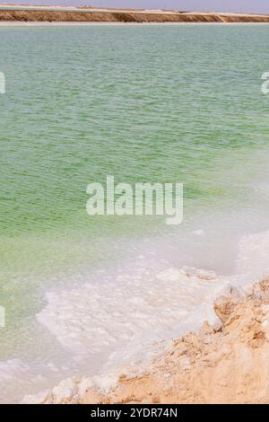 Primo piano sull'acqua verde brillante del lago Qarhan vicino a Golmud, Qinghai, Cina, immagine di sfondo con spazio per copiare il testo Foto Stock