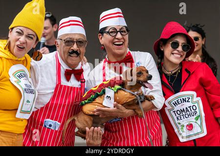 Coral Gables, Florida, Stati Uniti. 26 ottobre 2024. Partecipanti all'annuale Halloween Dog Costume Contest. (Immagine di credito: © Ronen Tivony/ZUMA Press Wire) SOLO PER USO EDITORIALE! Non per USO commerciale! Foto Stock