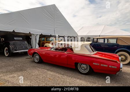 Una Ford Thunderbird rossa e bianca del 1962 convertibile in linea con le altre auto d'epoca all'asta mondiale di Auctioneers' Auburn, Indiana, USA. Foto Stock