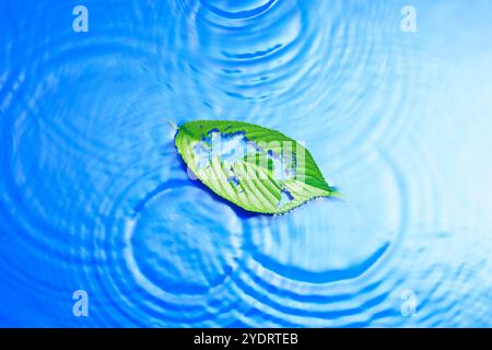 Foglia, mappa e ondulazione Foto Stock