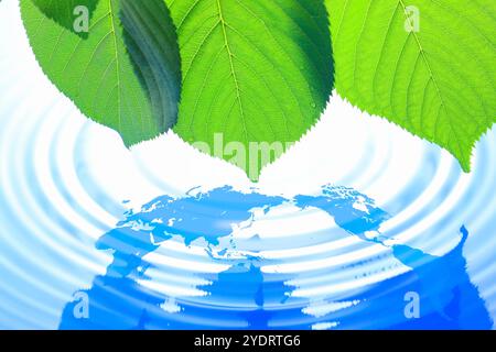 Foglia, mappa e ondulazione Foto Stock