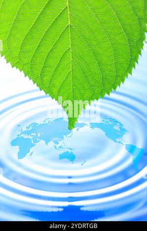 Foglia, mappa e ondulazione Foto Stock