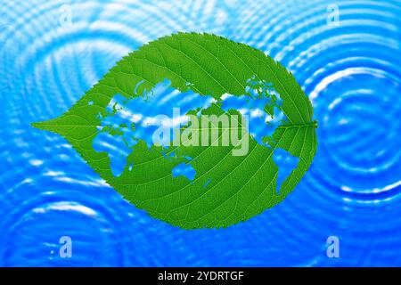Foglia, mappa e ondulazione Foto Stock