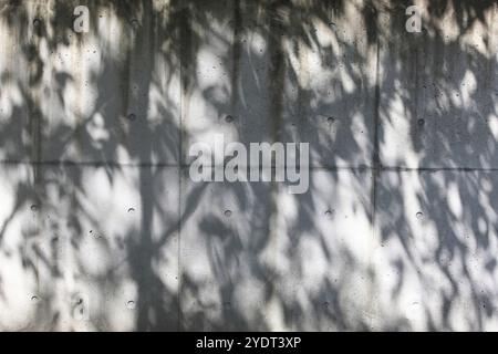 Cemento e alberi Foto Stock