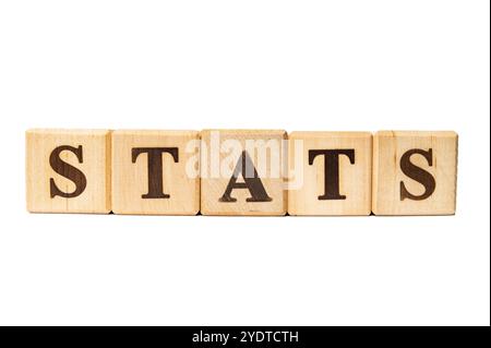 Palindromo. Linguistico. Giornata internazionale della lingua madre. Blocchi di legno che compongono LE STATISTICHE. 20. Giornata mondiale delle statistiche Foto Stock