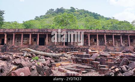 Rovine all'interno del campus del Tempio Jain, parte di un gruppo di templi risalenti al X secolo, situati a Budhi Chanderi, Madhya Pradesh, India. Foto Stock