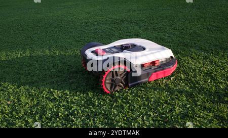 Un rasaerba robotizzato taglia un gigantesco prato con erbacce Foto Stock