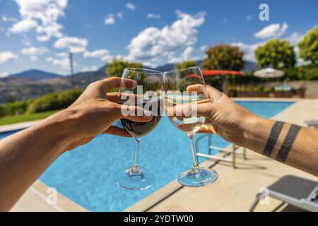 Giovane coppia caucasica felice gustando bevande alcoliche spirituali in piscina, tenendo a mano bicchieri di vino rosso e bianco sullo splendido paesaggio Foto Stock