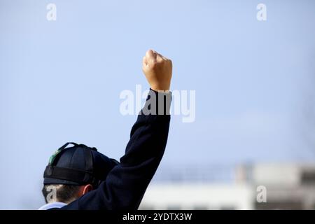 Un arbitro di baseball che chiama sciopero Foto Stock