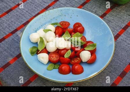 Cucina italiana, cucina mediterranea, mozzarella, basilico, pomodori ciliegini, cocktail di pomodori, piatto, caprese con mini pomodori, insalata, salato, vege Foto Stock