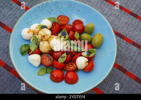 Cucina italiana, cucina mediterranea, mozzarella, basilico, pomodori ciliegini, cocktail di pomodori, caprese con mini pomodori, olive verdi, piatto, insalata Foto Stock