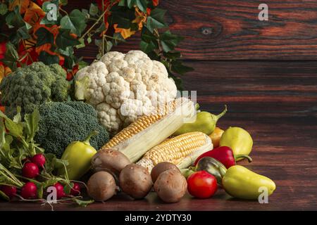 Verdure fresche, peperoni colorati, pannocchie di mais, cavolfiore, broccoli, ravanelli e funghi Foto Stock