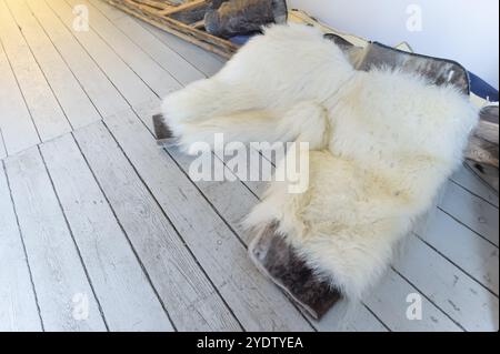 Pantaloncini tradizionali in pelliccia di orso polare adagiati su pavimento in legno all'interno, insediamento Inuit Ittoqortoormiit, Scoresbysund o Scoresby Sund o Green Foto Stock