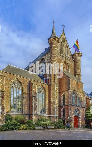 Il Pieterskerk è una chiesa tardogotica a Leida dedicata a San Pietro, Paesi Bassi Foto Stock