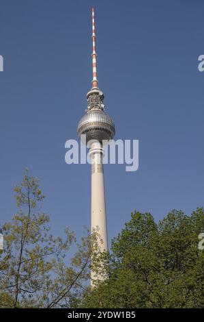 La torre della televisione si erge sopra gli alberi verdi nel cielo primaverile, Berlino, Germania, Europa Foto Stock