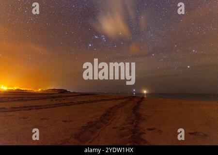 La tartaruga verde (Chelonia mydas) è un luogo di nidificazione notturno a Long Beach sull'isola di Ascension, nell'Oceano Atlantico tropicale, nell'Oceano Atlantico meridionale Foto Stock