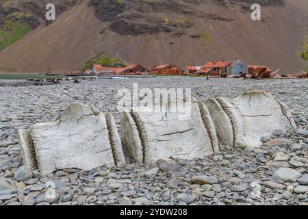 Vista della stazione baleniera abbandonata a Stromness Bay sulla Georgia del Sud, sull'Oceano meridionale, sulle regioni polari Foto Stock