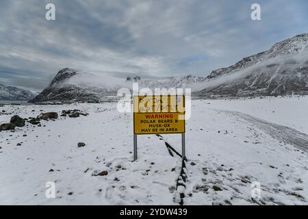 Cartello segnaletico dell'orso polare, Grise Fjord, comunità più settentrionale in America, Nunavut, Artico canadese, Canada, Nord America Foto Stock