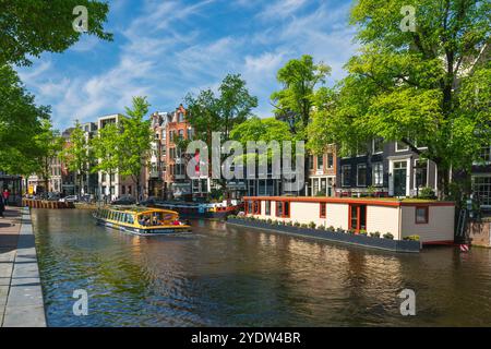 Barca turistica sul canale Prinsengracht, Amsterdam, Paesi Bassi, Europa Foto Stock