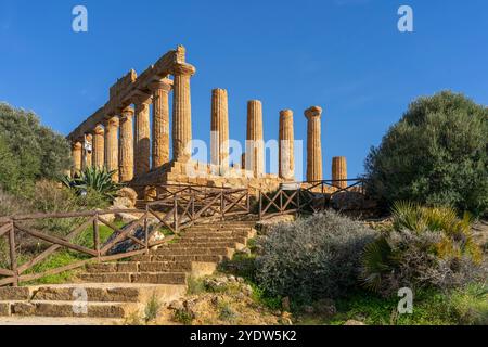 Tempio di Ercole, Valle dei Templi, patrimonio dell'umanità dell'UNESCO, Agrigento, Sicilia, Italia, Mediterraneo, Europa Foto Stock