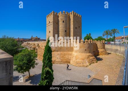 Torre di Calahorra, Cordova, sito patrimonio dell'umanità dell'UNESCO, Andalusia, Spagna, Europa Foto Stock