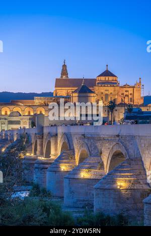 Ponte Romano, fiume Guadalquivir, Cordova, sito patrimonio dell'umanità dell'UNESCO, Andalusia, Spagna, Europa Foto Stock