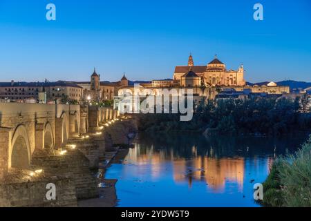 Ponte Romano, fiume Guadalquivir, Cordova, sito patrimonio dell'umanità dell'UNESCO, Andalusia, Spagna, Europa Foto Stock