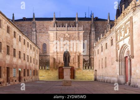 Università di Salamanca, Salamanca, sito patrimonio dell'umanità dell'UNESCO, Castiglia e León, Spagna, Europa Foto Stock
