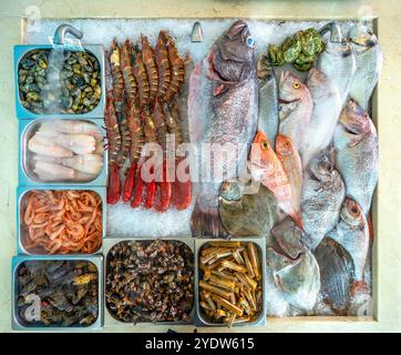 Specialità di pesce su ghiaccio, ristorante o Camilo, Lagos. Algarve, Portogallo, Europa Foto Stock