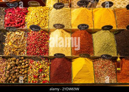 Spezie diverse esposte in negozio, bazar egiziano (mercato del Bazar delle spezie), Eminonu, distretto di Fatih, provincia di Istanbul, Turchia, Europa Foto Stock