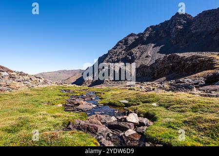 Lago di montagna, Laguna larga, ai piedi di Mulhacen, la montagna più alta della Spagna nella Sierra Nevada, Andalusia, Spagna, Europa Foto Stock