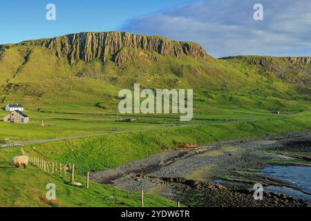 Il davanzale igneo forma uno sfondo roccioso a Duntulm e sulla spiaggia di rocce sedimentarie del Giurassico, North West Trotternish, Skye, Scozia Foto Stock