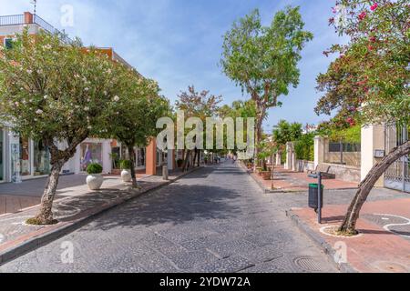 Vista dei negozi di corso Vittoria colonna a Porto d'Ischia (Porto d'Ischia), Isola d'Ischia, Campania, Italia, Europa Foto Stock