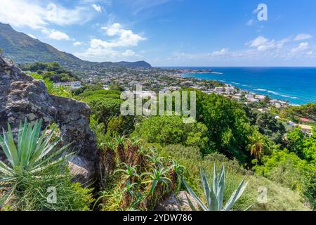 Vista della flora tropicale nei Giardini la Mortella e Forio sullo sfondo, Forio, Isola d'Ischia, Campania, Italia, Europa Foto Stock