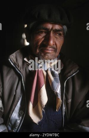 Mapuche, in Patagonia, Argentina Foto Stock