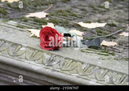 Una rosa rossa artificiale giace su una lapide storica Foto Stock