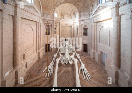 Ex Chiesa dei SS. Trinità in Annunziata, Gino de Dominicis, Calamita Cosmica, Foligno, Perugia, Umbria, Italia, Europa Foto Stock