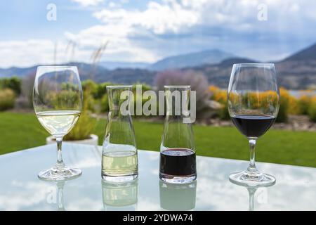 Piccoli decanter e bicchieri pieni di vini rossi e bianchi su un tavolo di vetro, calici di degustazione su uno sfondo con vista sulle montagne dell'erba del giardino Foto Stock