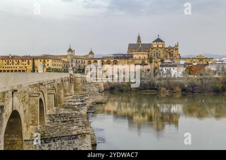 Vista di Cordova con la cattedrale della moschea dal fiume Guadalquivir, Spagna, Europa Foto Stock