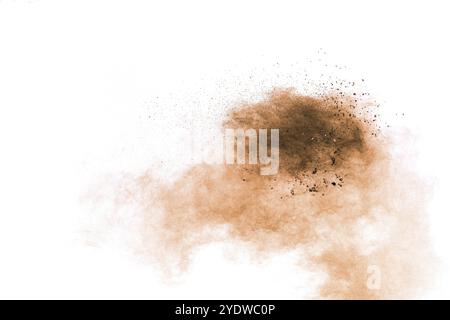 Movimento di congelamento dell'esplosione di polvere marrone su sfondo bianco. Arresto del movimento della polvere marrone Foto Stock