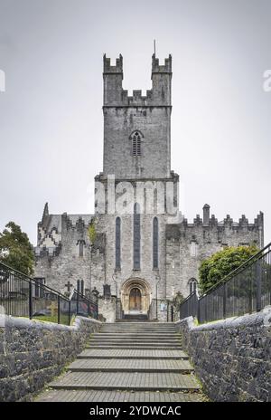 La cattedrale di Saint Mary, Limerick, è una cattedrale della Chiesa d'Irlanda a Limerick, in Irlanda, in Europa Foto Stock