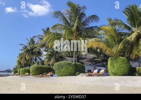 Bungalow sulla spiaggia con sedie a sdraio su un'isola tropicale, Maldive, Asia Foto Stock