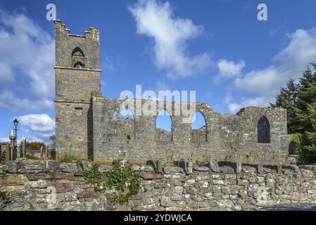 L'abbazia di Cong, nota anche come abbazia reale di Cong, è un sito storico situato a Cong, in Irlanda. Le rovine dell'ex abbazia agostiniana sono per lo più datate Foto Stock