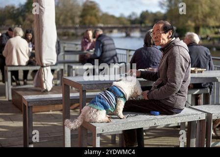Cani con proprietario. Uomo e cane in un ristorante sul fiume. Stratford Upon Avon, Inghilterra, Regno Unito Foto Stock