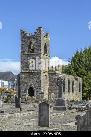 L'abbazia di Cong, nota anche come abbazia reale di Cong, è un sito storico situato a Cong, in Irlanda. Le rovine dell'ex abbazia agostiniana sono per lo più datate Foto Stock