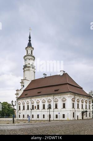 Il Municipio di Kaunas si trova nel mezzo della Piazza del Municipio, nel cuore della città Vecchia, Kaunas, Lituania, Europa Foto Stock