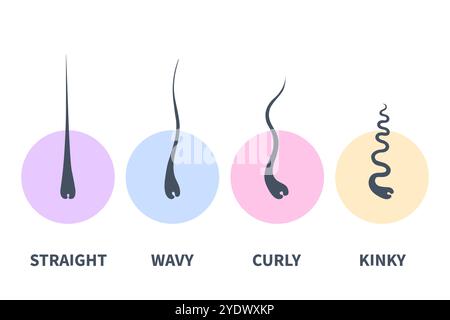 Tabella dei tipi di capelli insieme dei modelli di crescita dei trefoli Illustrazione Vettoriale
