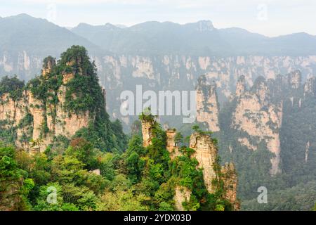 Favolosa vista dei pilastri di arenaria al quarzo (Monti Avatar) Foto Stock